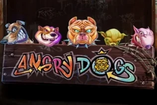 Angry Dogs